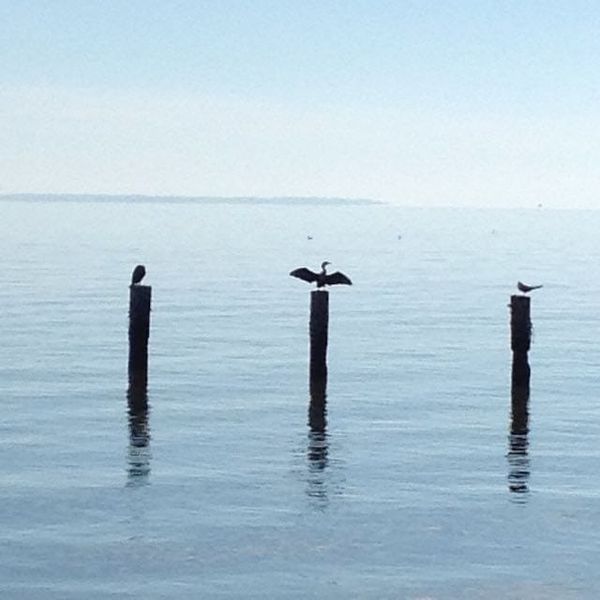 Silent Dignity is Cool