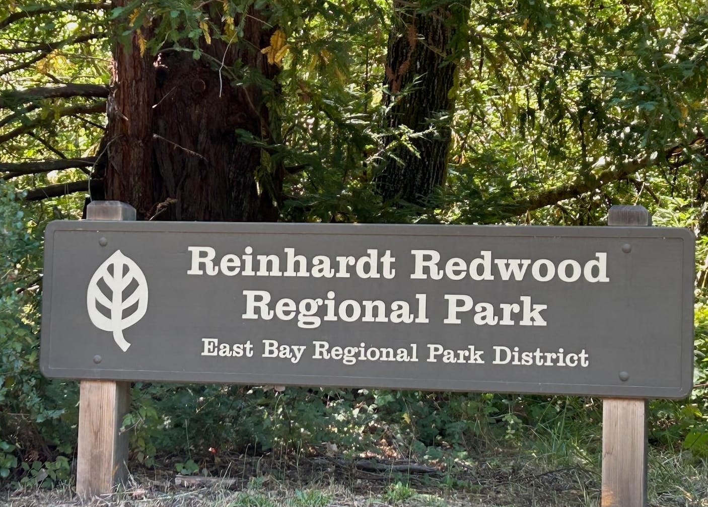 Brown sign reading “Reinhardt Redwood Regional Park, East Bay Regional Park District,” in front of redwood trees.
