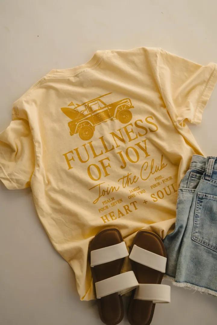A Joy The World Cannot Provide