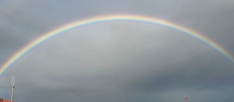 What IVF taught me about political possibility