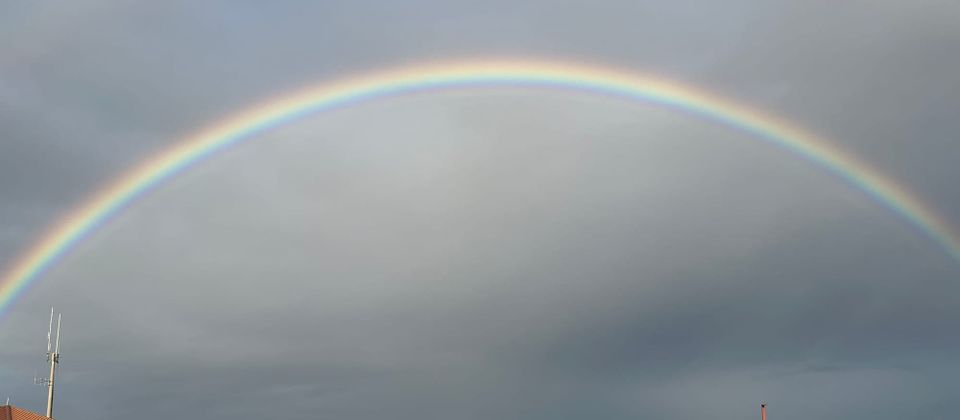 What IVF taught me about political possibility