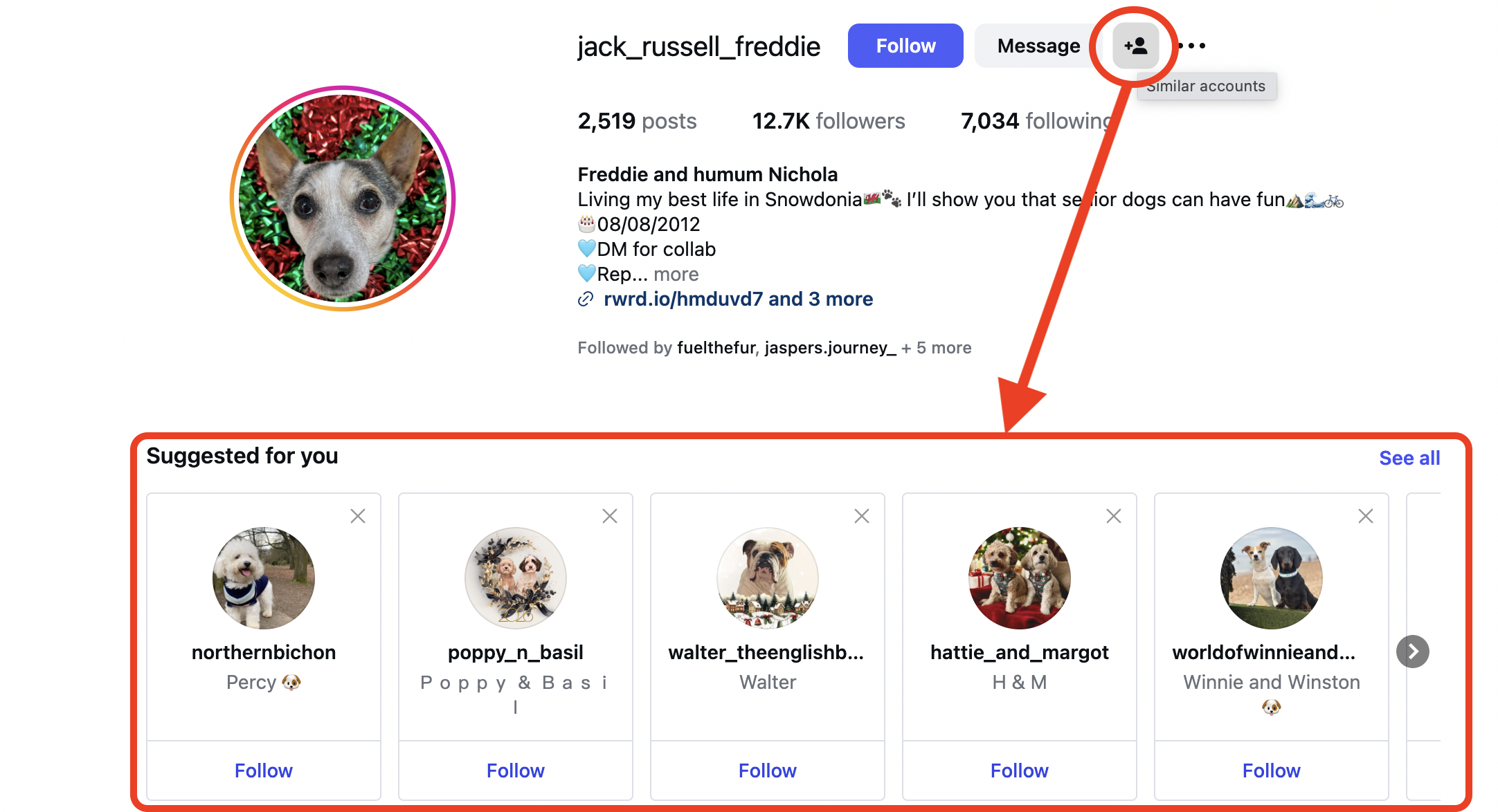 Instagram 'Suggested for You' is great to find influencers