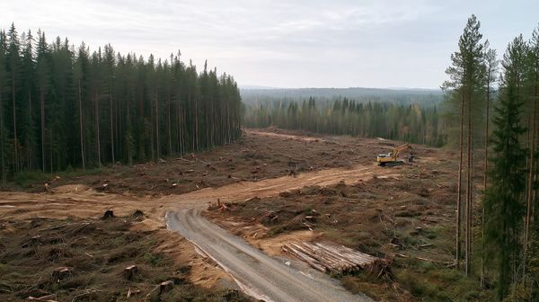 Googles største investering i Europa rammer en mur i Finland