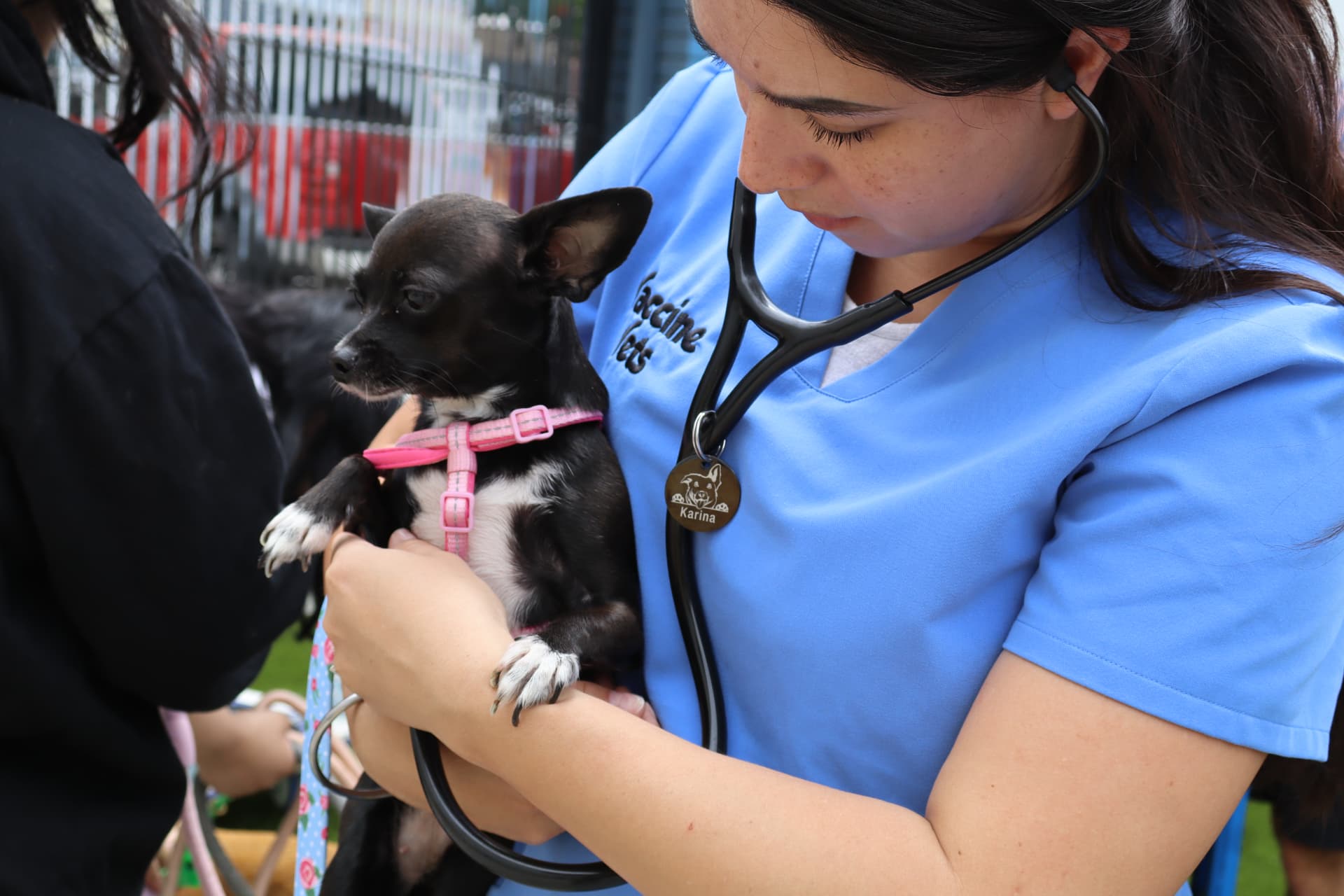 Find a Vaccine Vets Clinic: Dates, Calendar and Directions