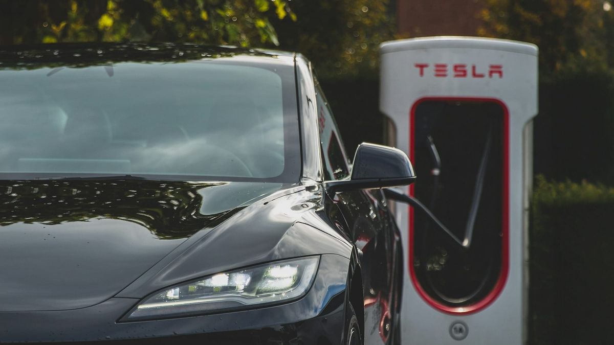 Are all EV-drivers this stupid?