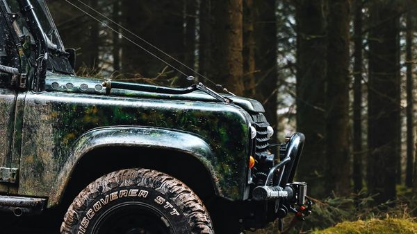 Where is this obsession with sticks coming from?