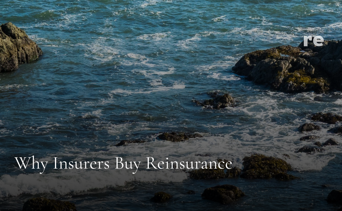 Why Insurers Buy Reinsurance