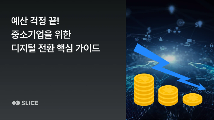 예산 걱정 끝! 중소기업을 위한 디지털 전환(DX) 핵심 가이드