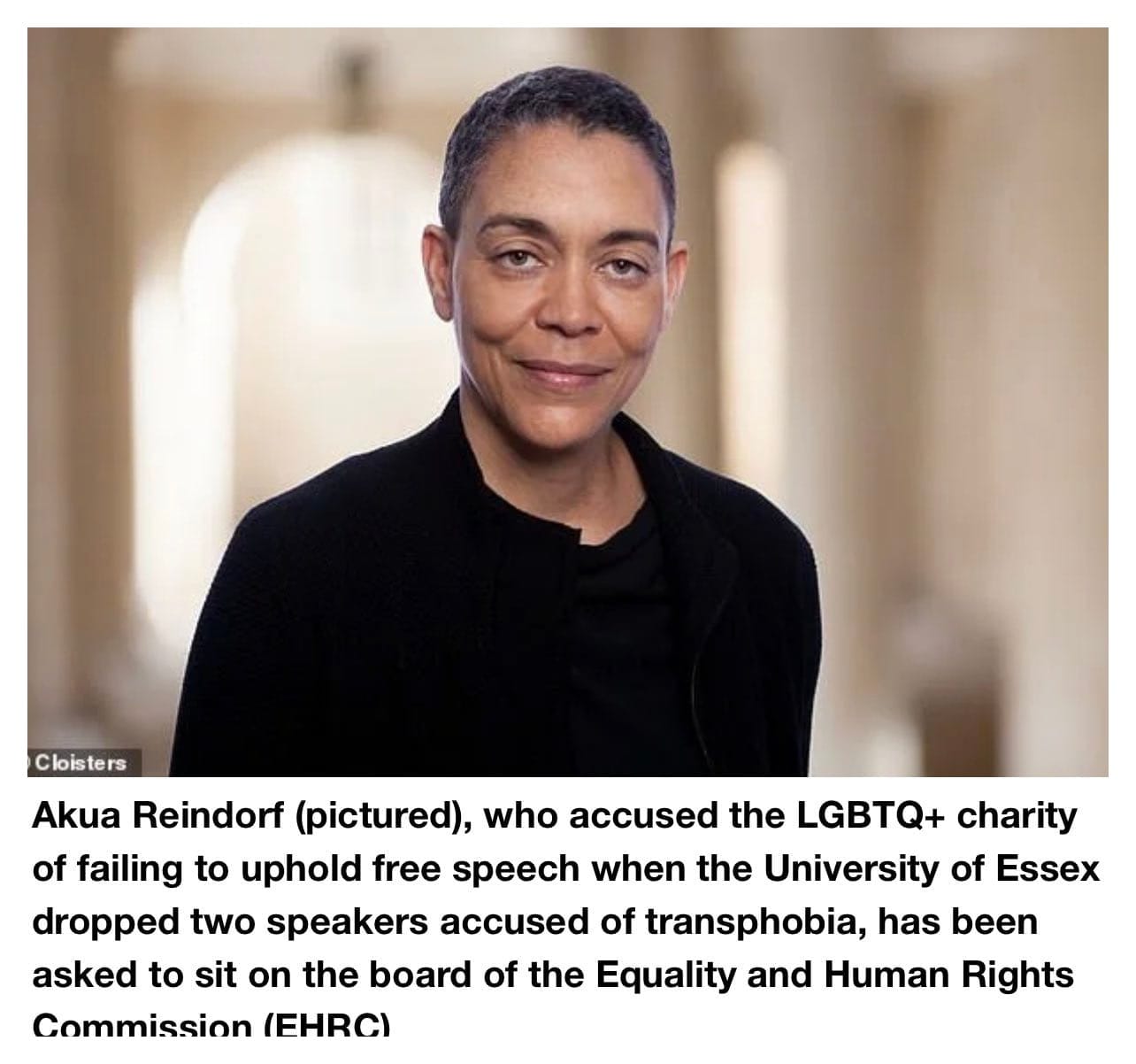 Akua Reindorf (pictured - a middle aged lightskin Black woman with short hair wearing a Black shirt), who accused the LGBTQ+ charity of failing to uphold free speech when the University of Essex dropped two speakers accused of transphobia, has been asked to sit on the board of the Equality and Human Rights Commission (EHRC)