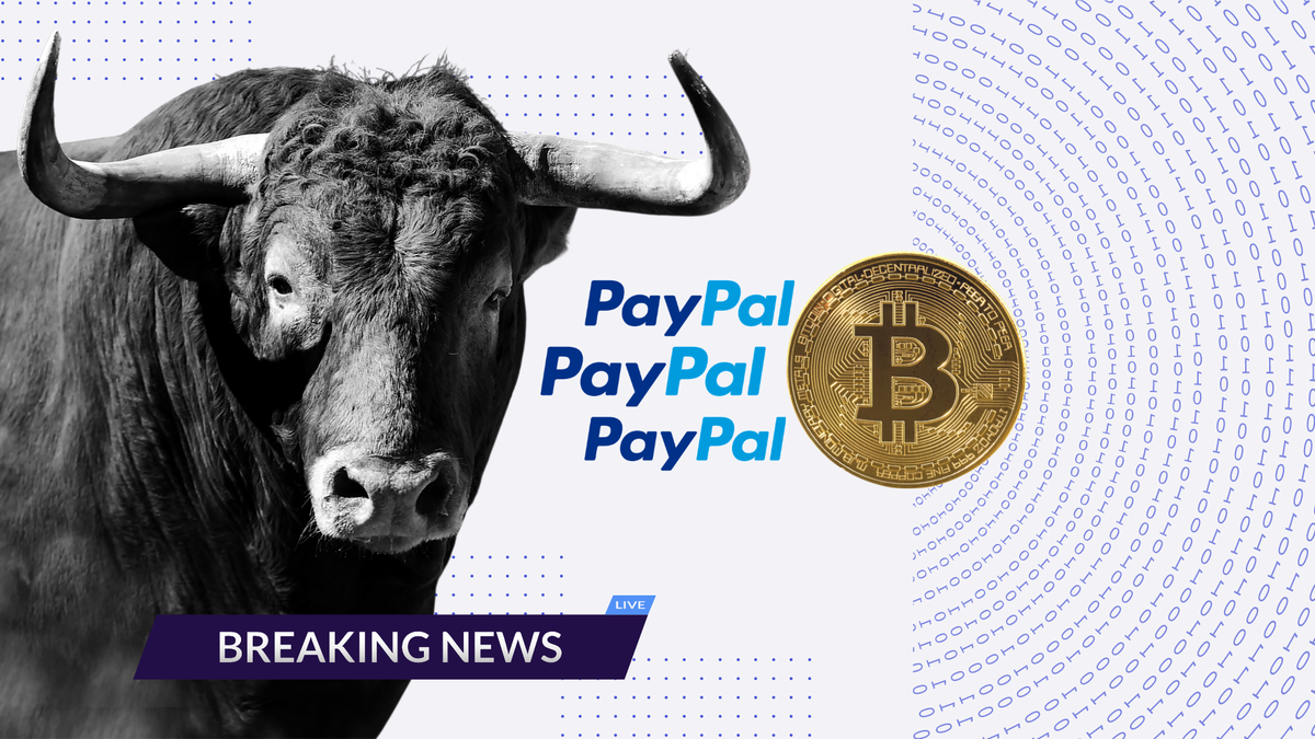 PayPal ♥️ BTC, Transacciones cada 10 minutos y más Post feature image