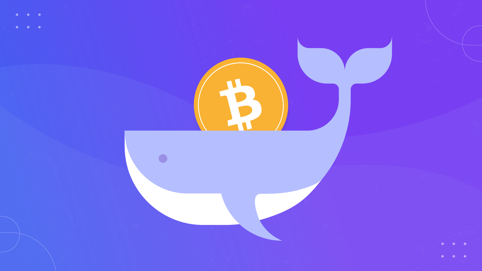 El secreto de las ballenas imagen destacada