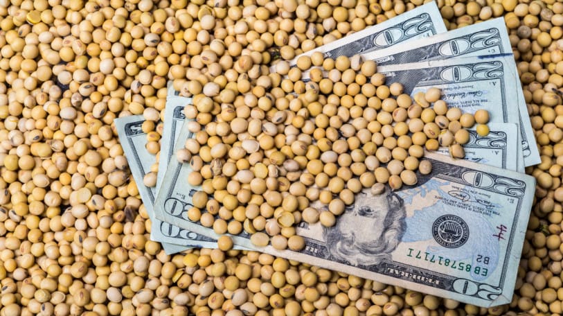 Agribusiness companies receive millions of dollars each year from state agencies and the federal government. The tax breaks, subsidies and grants they receive are in addition to the U.S. Department of Agriculture subsidies for farmers.