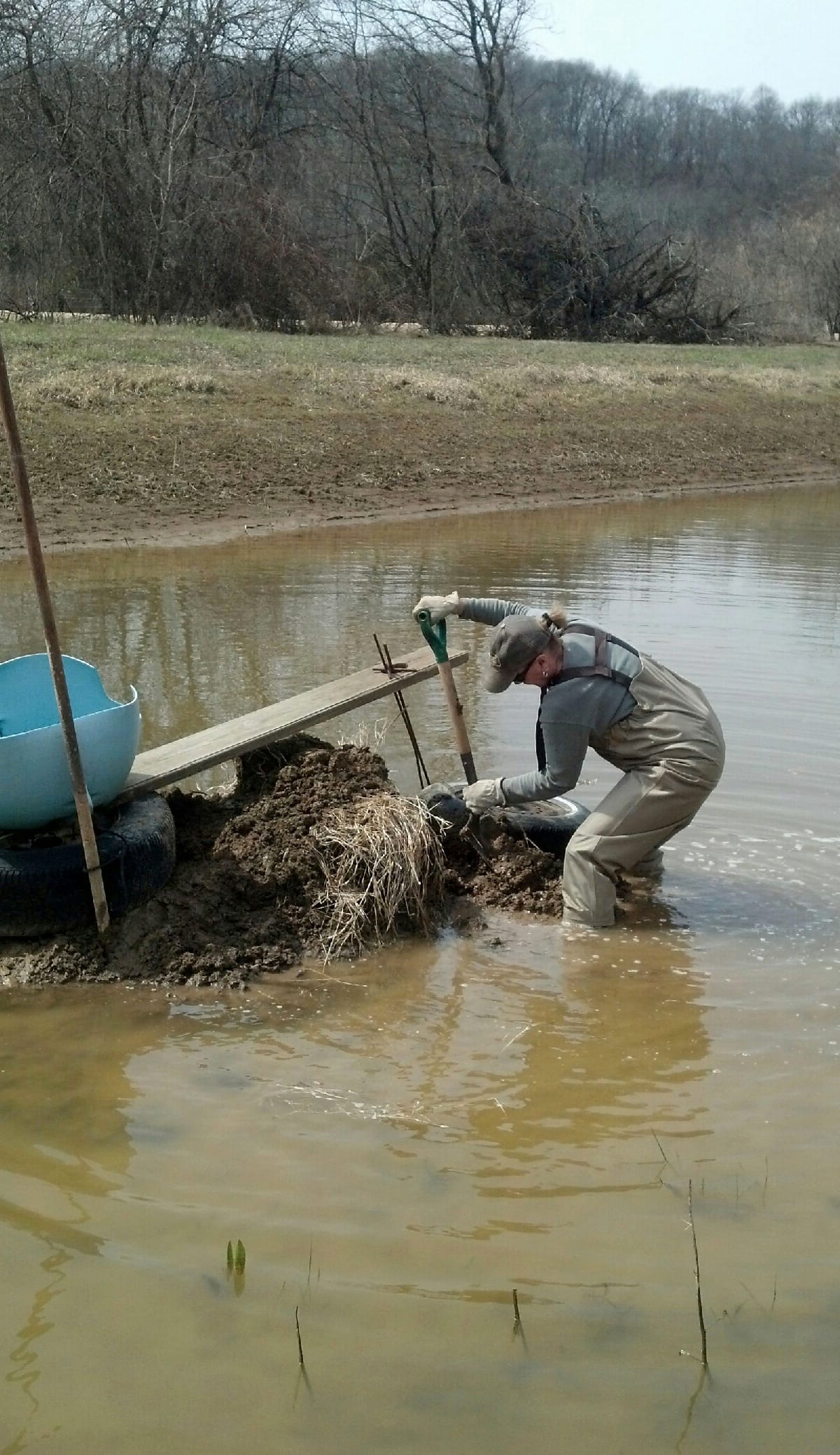 Ann Wolf uses several topsoil conservation practices at her eastern Iowa farm near Miles. Among them, she is restoring a stream bank.