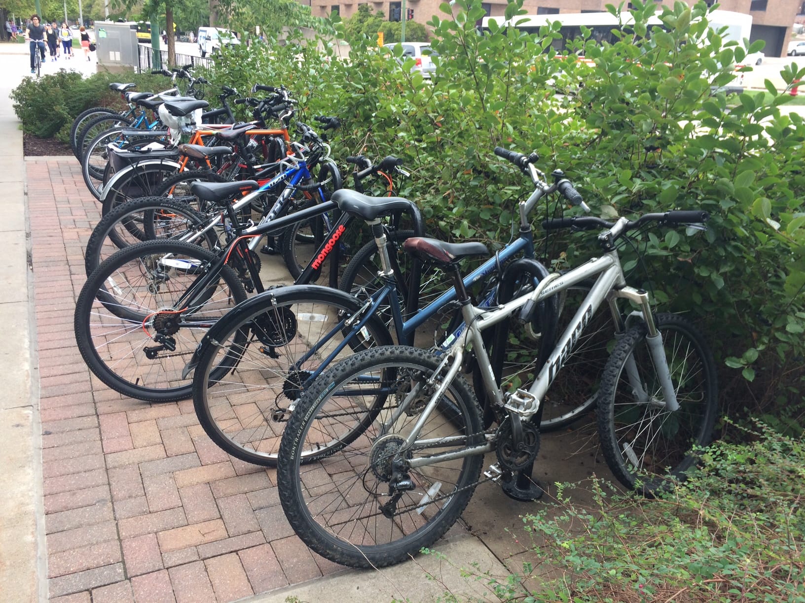 A bicycle rack in Iowa City, Iowa.