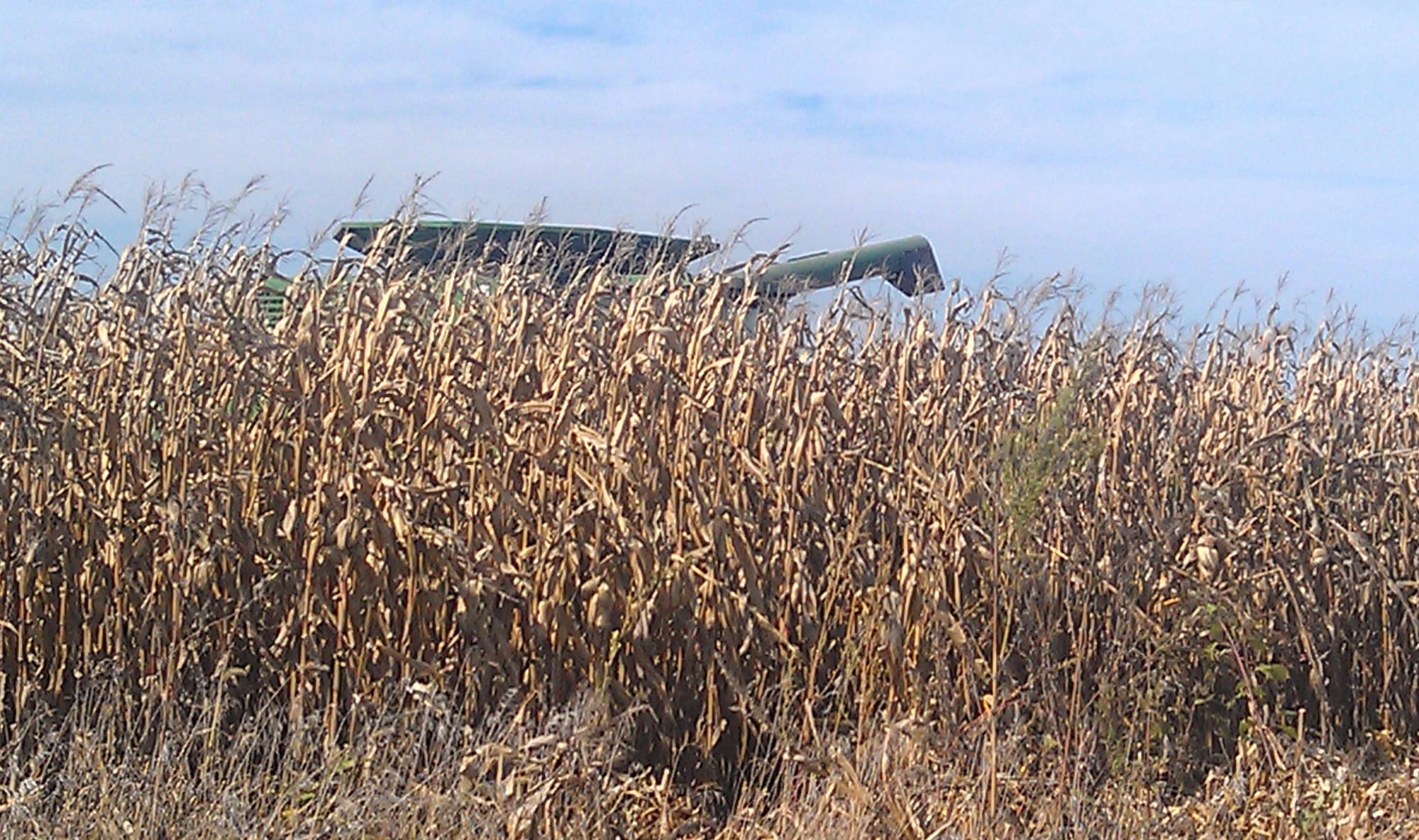 The top of a corner picker emerges from a field near Center Point, Iowa, in early October 2013.
