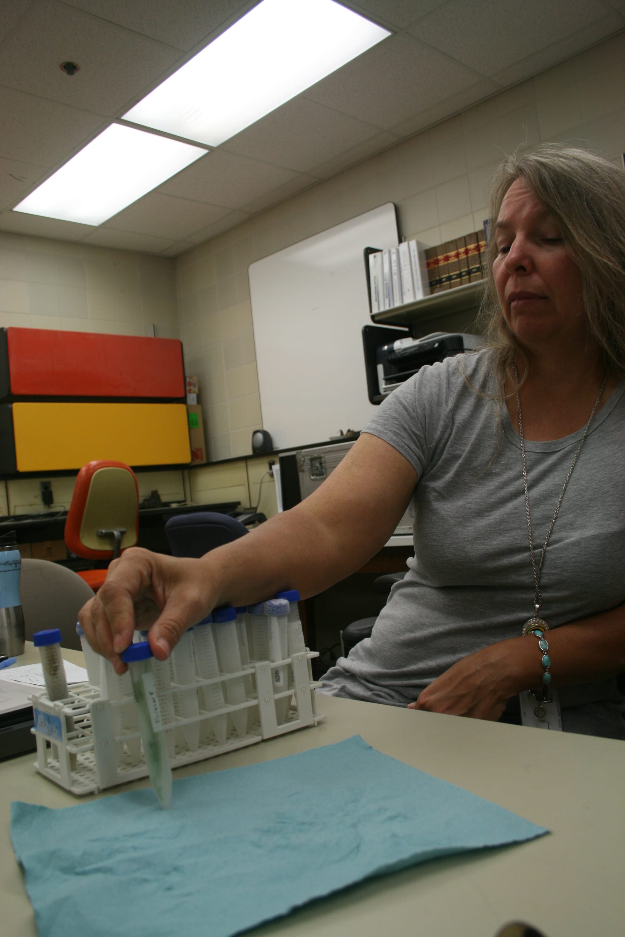 Mary Skopec, of the Iowa DNR's beach monitoring program, looks at a water sample from Black Hawk Lake in her lab July 30, 2015. The sample tested high, with microcystin concentrations above the advisory level of 20 micrograms per liter.