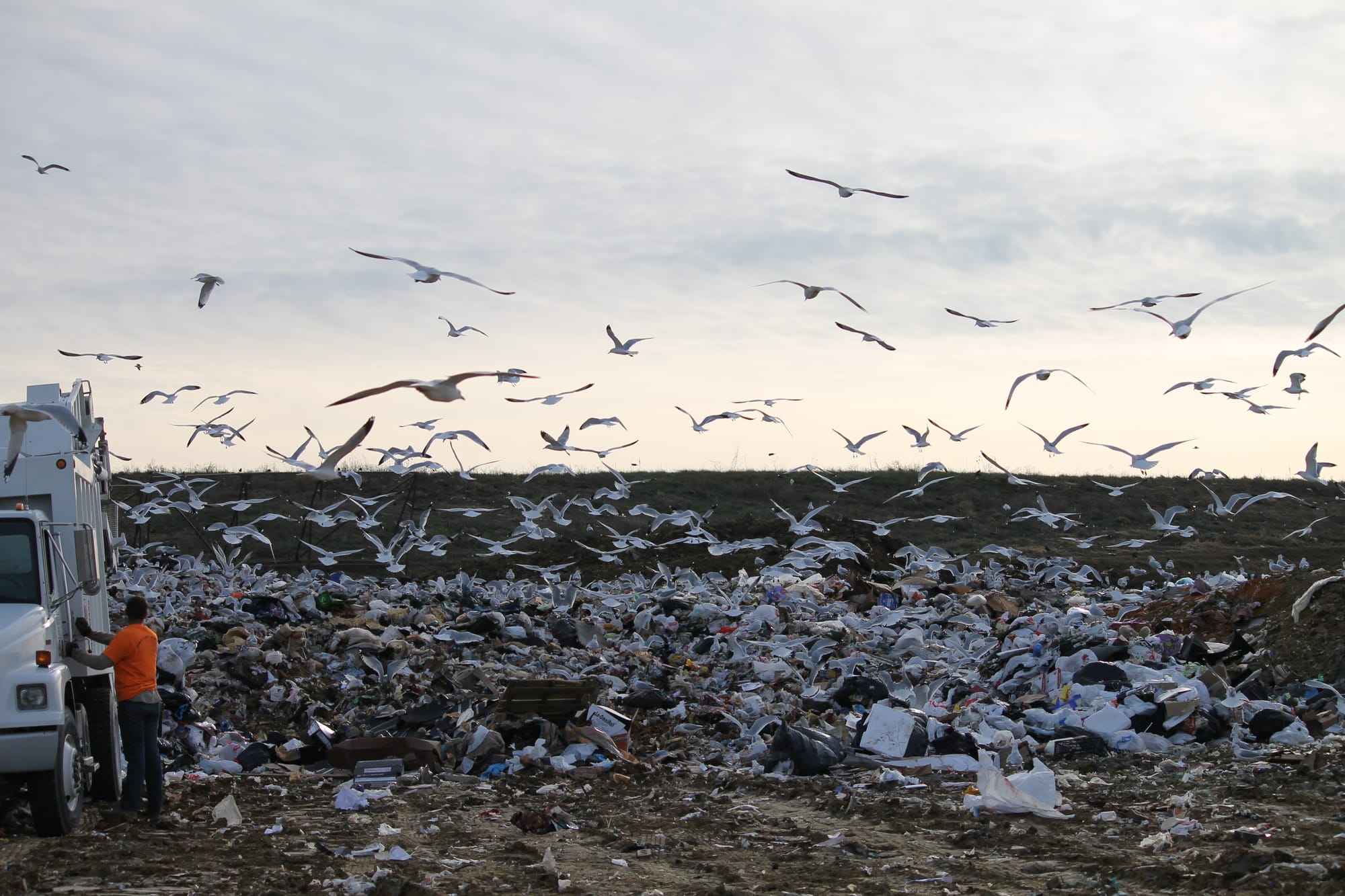 The Iowa City Landfill and Recycling Center, which serves Johnson County, Kalona and Riverside, receives about 450 tons of refuse daily. (IowaWatch/Sujin Kim)