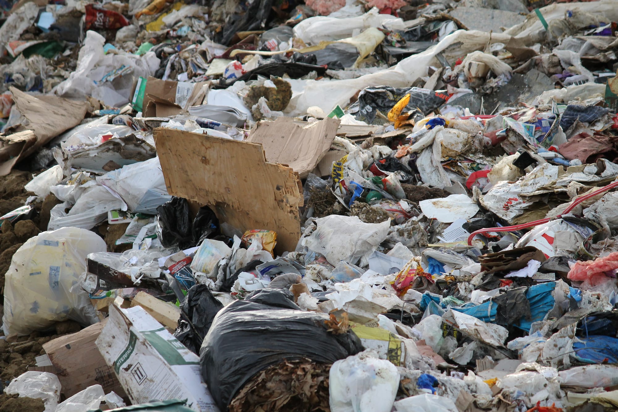 It’s not hard to see wood, papers, cardboard and some other recyclables mixed in the garbage at the Iowa City Landfill in this fall 2012 photo.