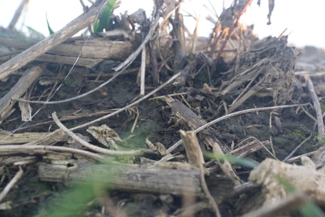 A developed root system holds topsoil in place, preventing large chunks of erosion.