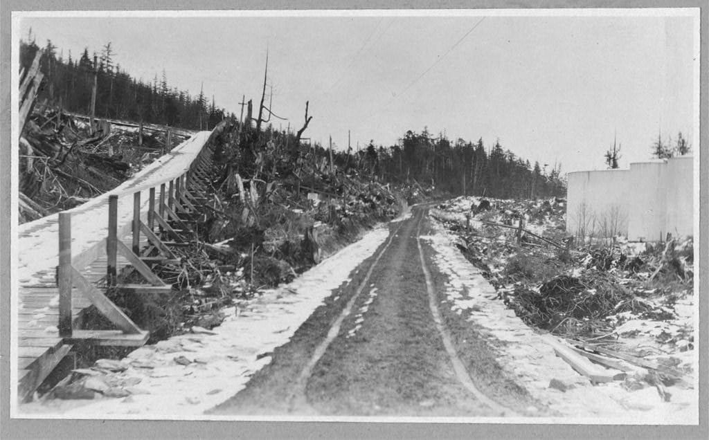 A plank road in Alaska, around 1916