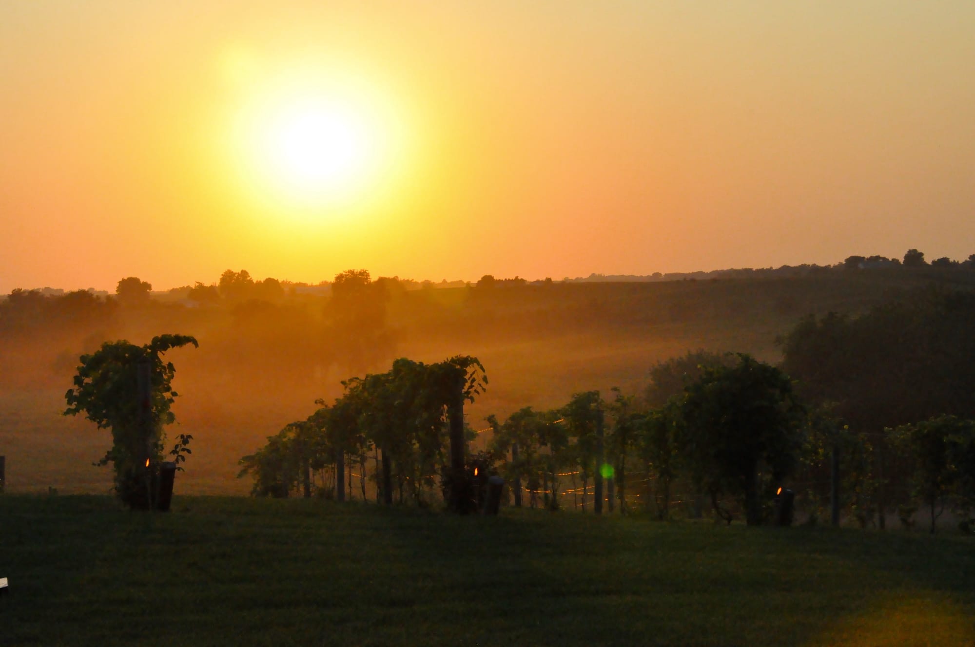 The Walker Homestead at sunset.