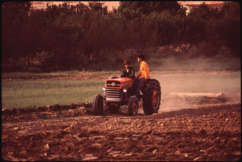 Navajo Boys Plow Corn Field on the Navajo Reservation, Shiprock, New Mexico, date unknown