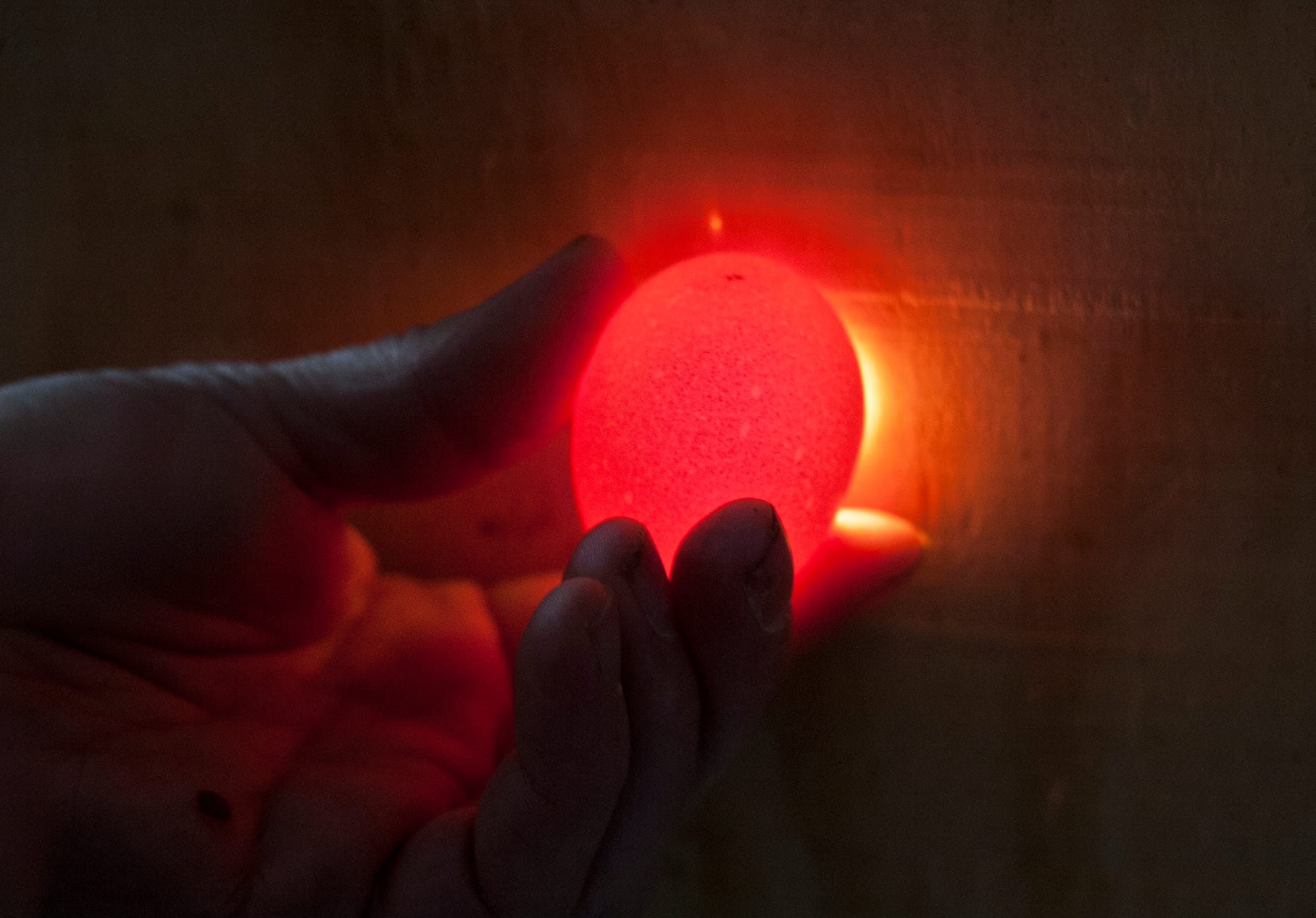 A farmer checks an egg for cracks at a farm in Campbell Hill, Ill. The Food Safety and Inspection Service is in charge of monitoring domestically produced eggs, along with meat and poultry, too.