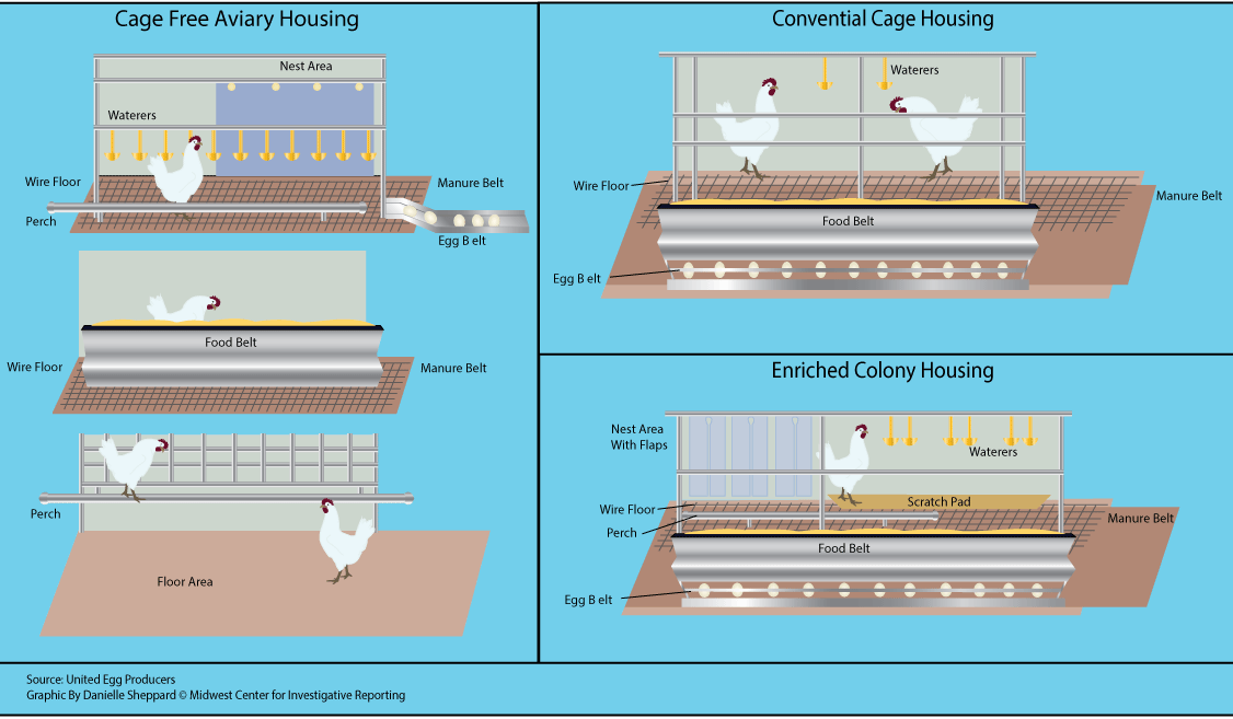 HenHousing