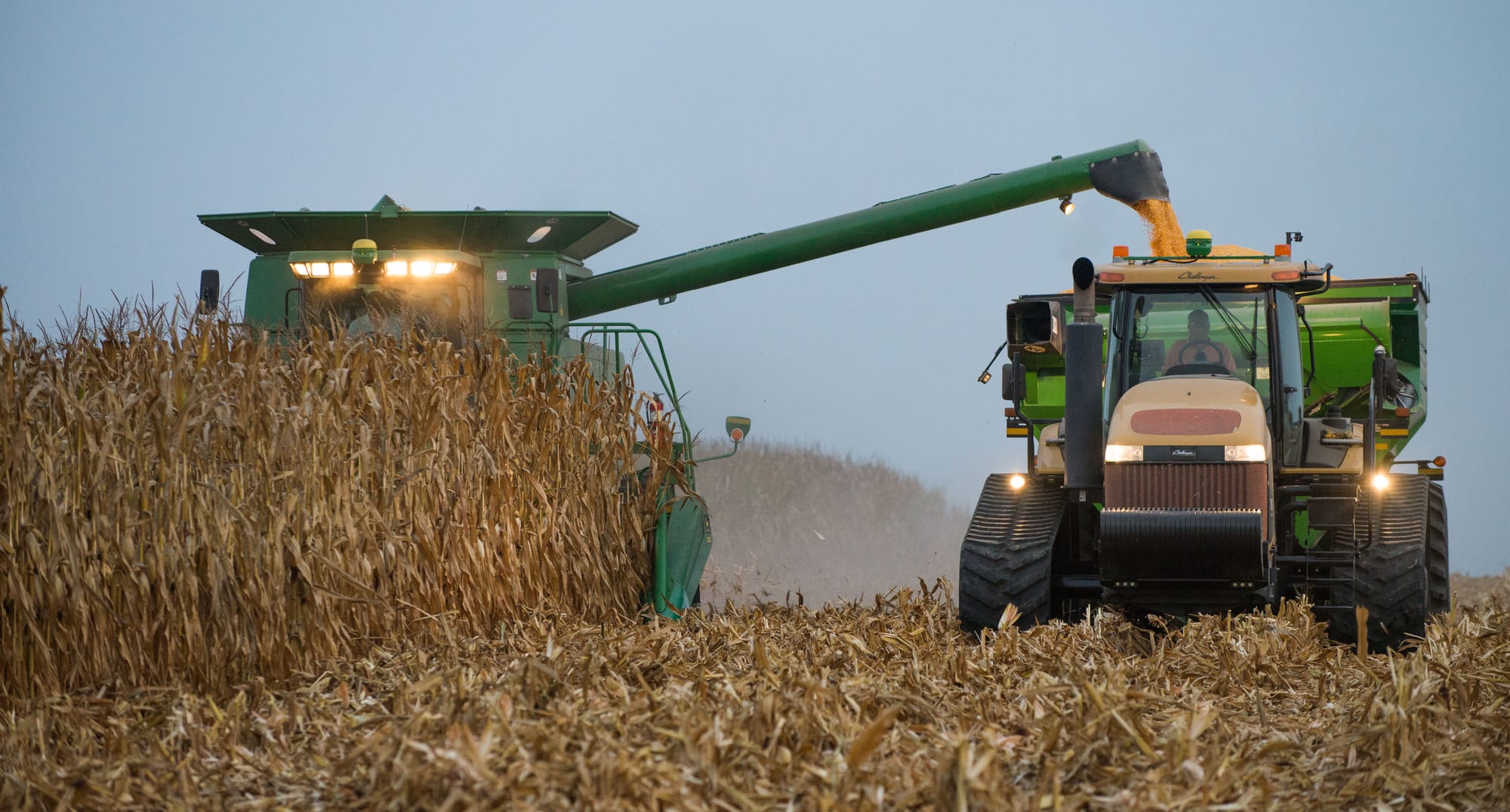Harvest gets underway at the Anderson Farm near Mansfield, IL on Wednesday, Oct. 2, 2013. Similar corn operations throughout Illinois have chosen to use RP insurance more than 85 percent of the time.