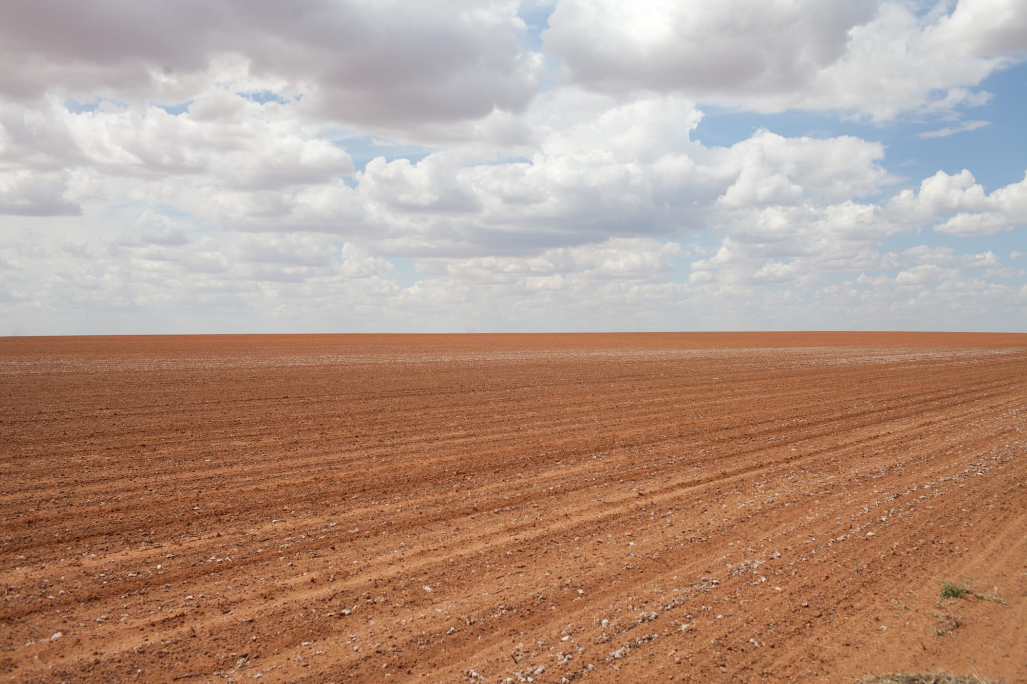 A failed cotton field in Texas stretches to the horizon. Rainfall in the region had previously averaged 17 inches a year, but in 2011 and 2012 the annual averages were 3 and 8 inches.