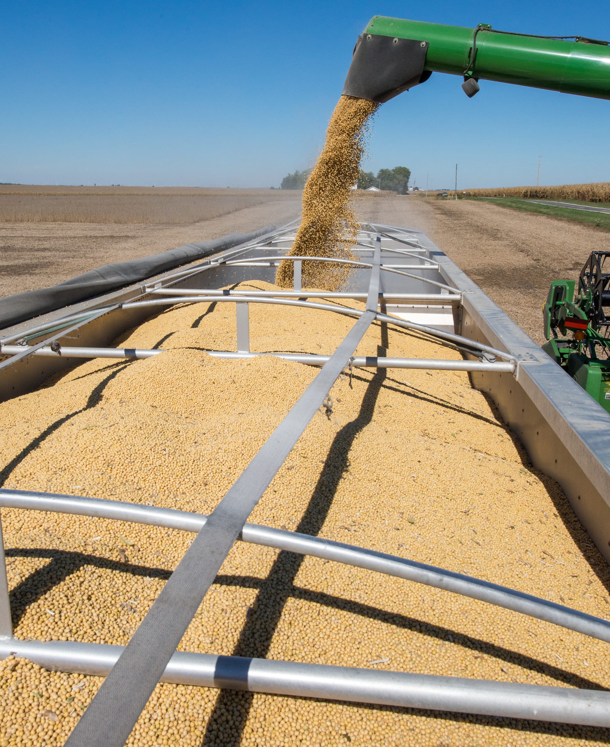 Soybeans are offloaded from the combine to a waiting truck as harvest continues just north of Mansfield, Ill., on Wednesday, Oct. 9, 2013.