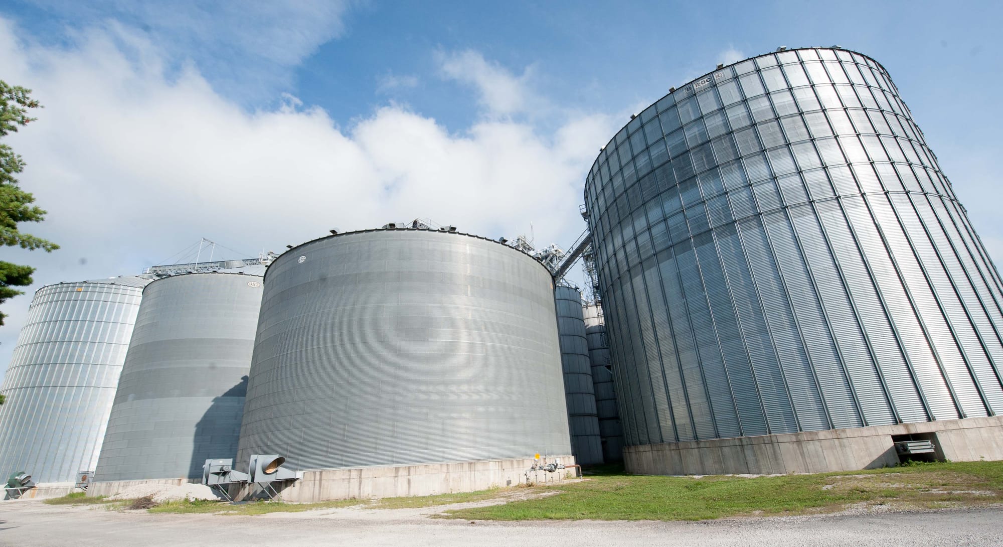 The grain facility in Sidney, IL on Tuesday, August 13, 2013.