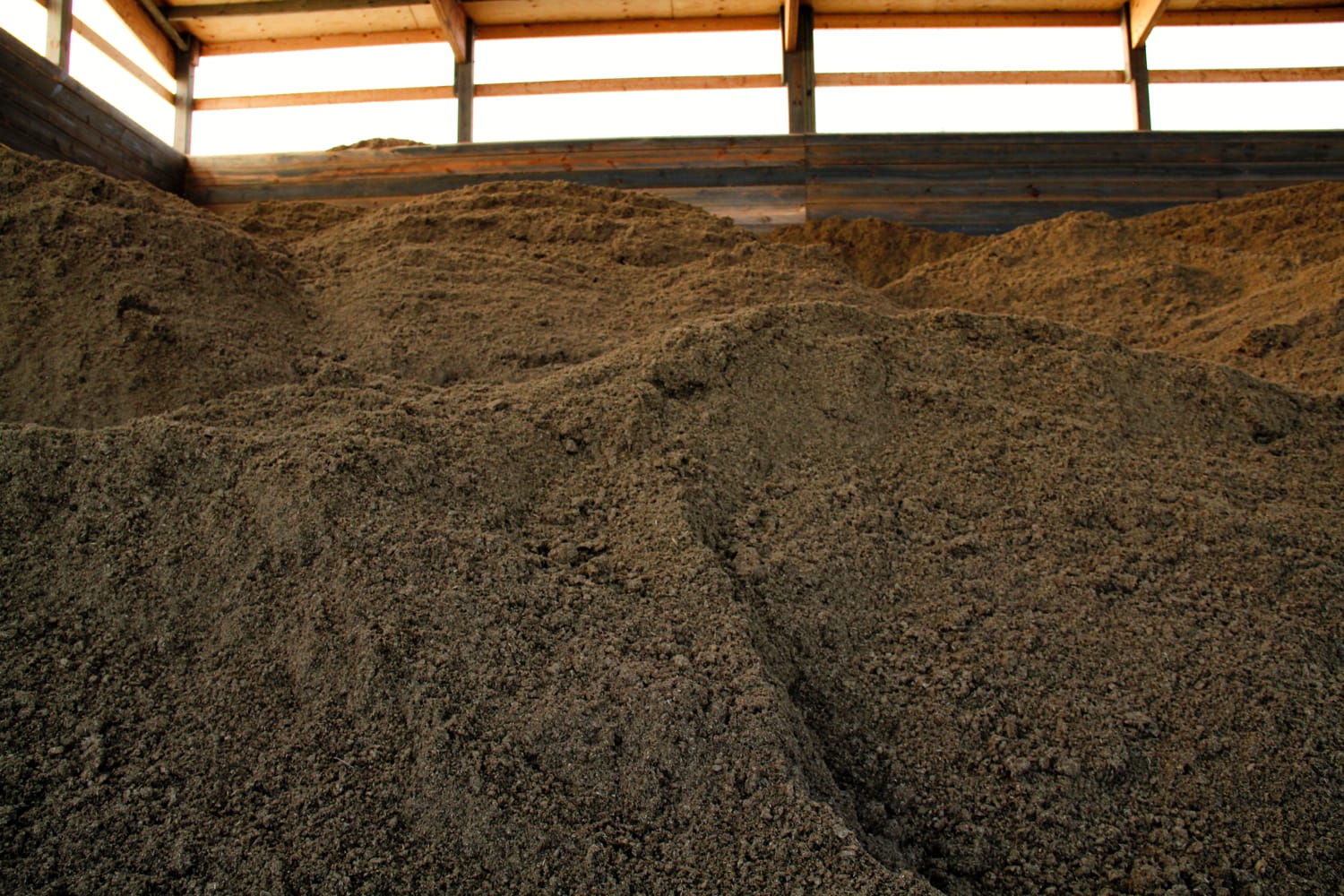 Manure solids, dried fluffy and no longer smelly, are used as bedding for cows at Holsum Dairies, or they become mulch for local gardeners.