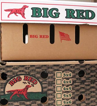 Tomatoes produced by Big Red Tomato Packers in Florida may be contaminated with Salmonella. The tomatoes went out to stores and distributors in Florida, North Carolina, Michigan, Minnesota, Pennsylvania and Tennessee.