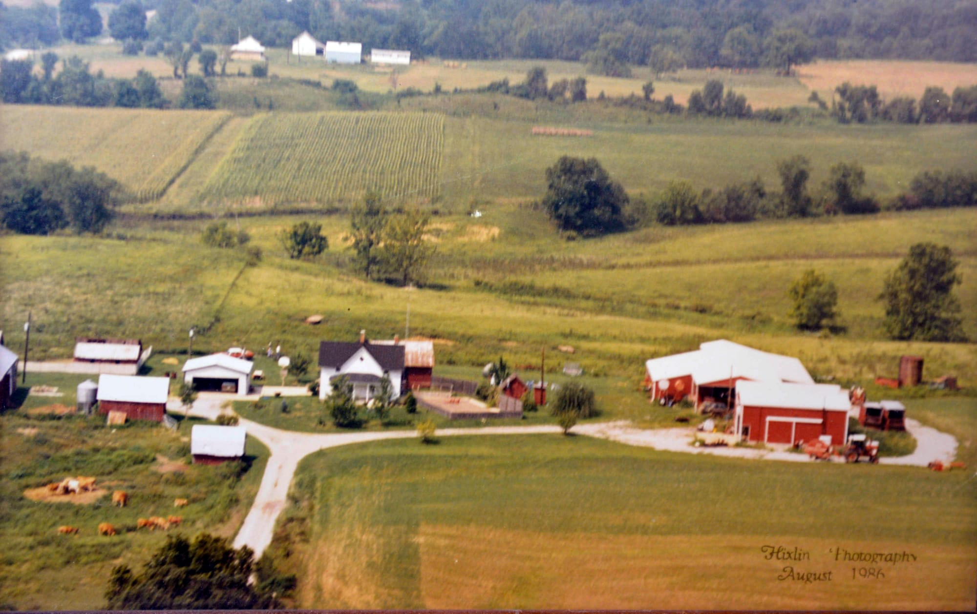 The 89-acre Petrea family dairy farm is located on the outskirts of Iuka, Ill. Growing up on the farm, Chip Petrea had to bale hay, milk cows and move grain. In addition to those chores and schoolwork, Petrea was also the starting center on his basketball team. Petrea's stepfather, Bob, first started the dairy farm with only a couple milk cows.