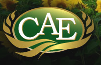 CAE