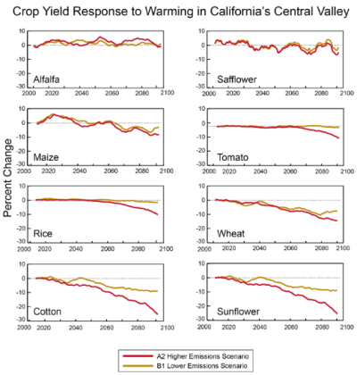 The above graphic shows projected yields for eight crops grown in the Central Valley of California. Projections are for two emissions scenarios, one in which gas emissions are reduced and one in which emissions continue to grow.