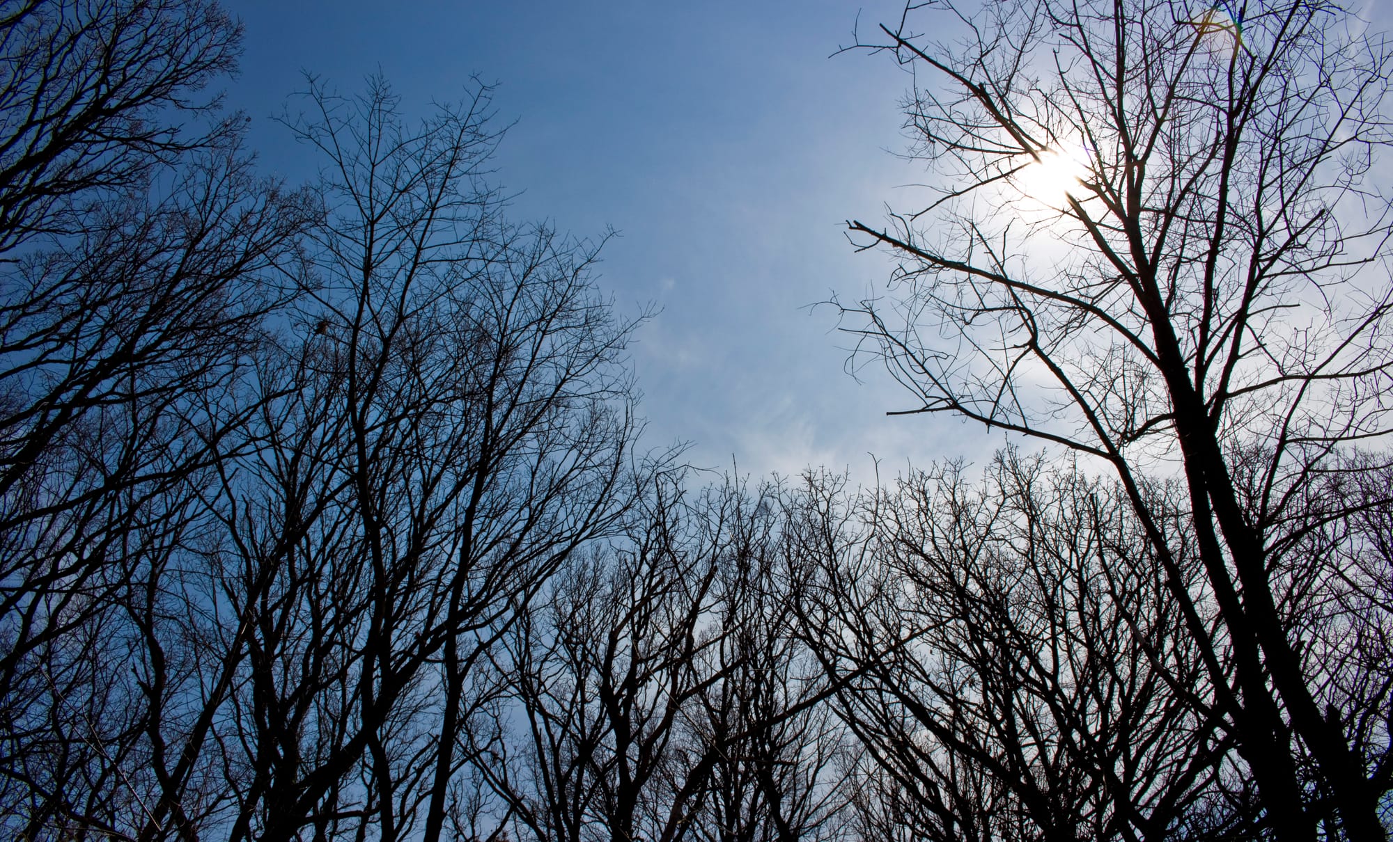 A National Climate Assessment reported that climate change will lead to more prevalent drought and increased temperatures throughout the upcoming century. However, the assessment also reported that climate change will lead to more extreme storms and warmer nights.