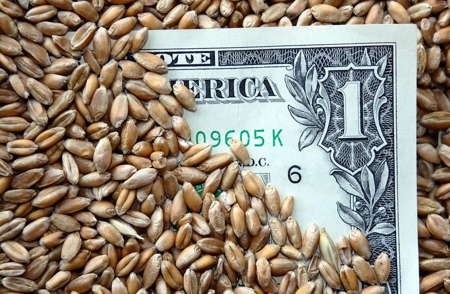  Hundreds of companies and outside groups lobbied the 2014 Farm Bill and related issues during the drafting process.