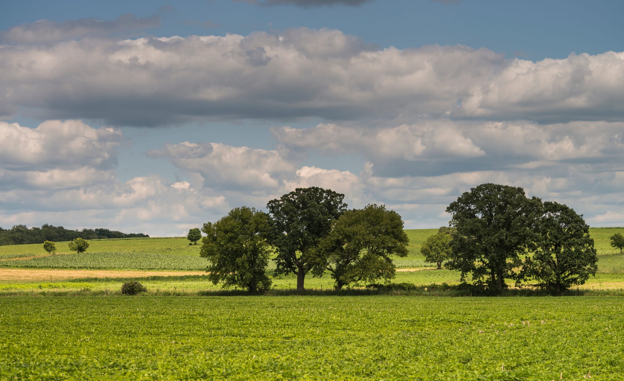 In recent years, crop insurance has become an increasingly controversial subject. While many support the program, others claim it sucks up too many taxpayer dollars. Reporters can use this guide to start their crop insurance research.