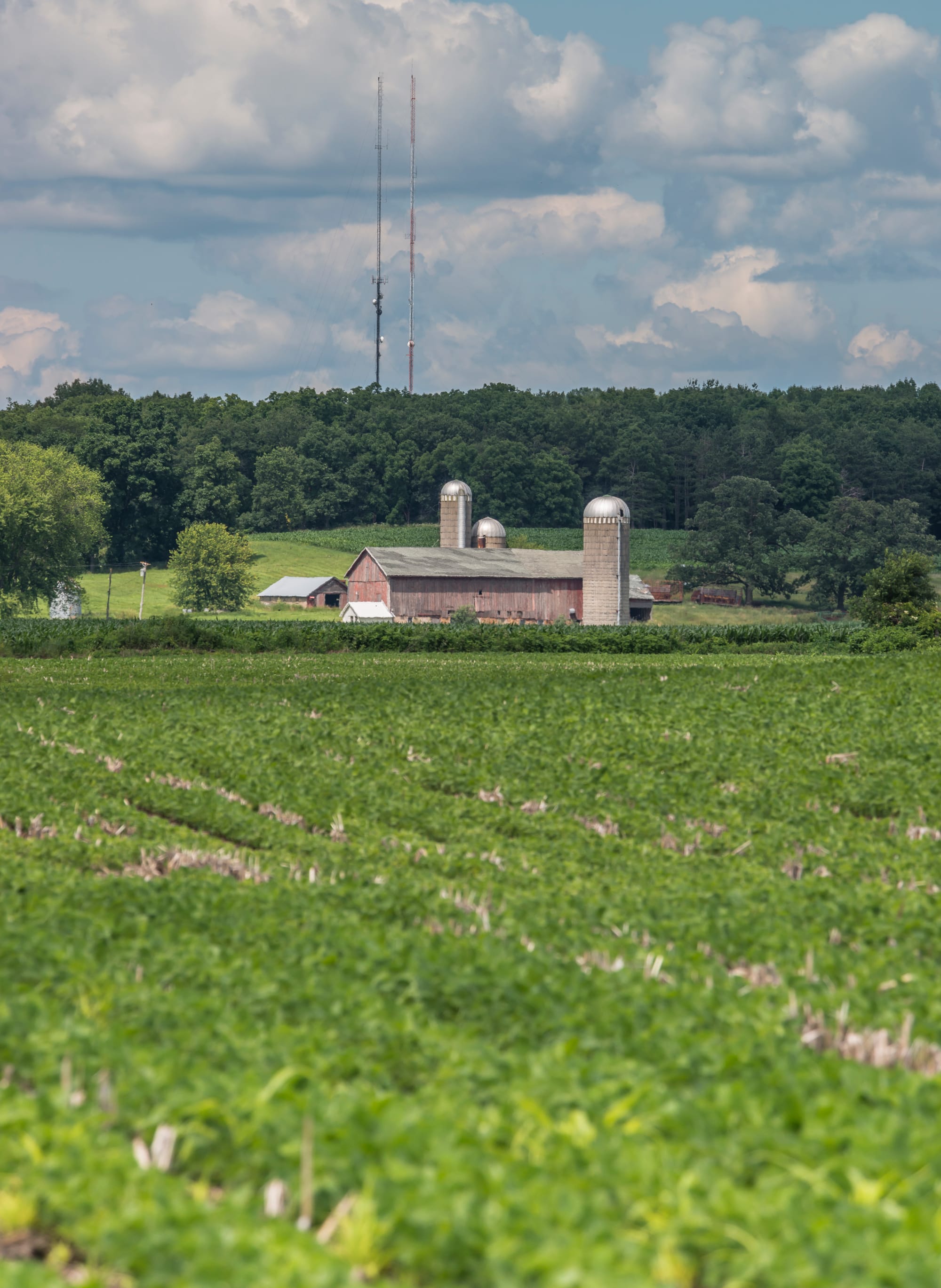 One of the decisions a farmer has to make on insurance policies has to do with the scope of coverage. A farmer can decide to insure crops based on county averages, or a farmer can insure crops based on individual farm-level production history.