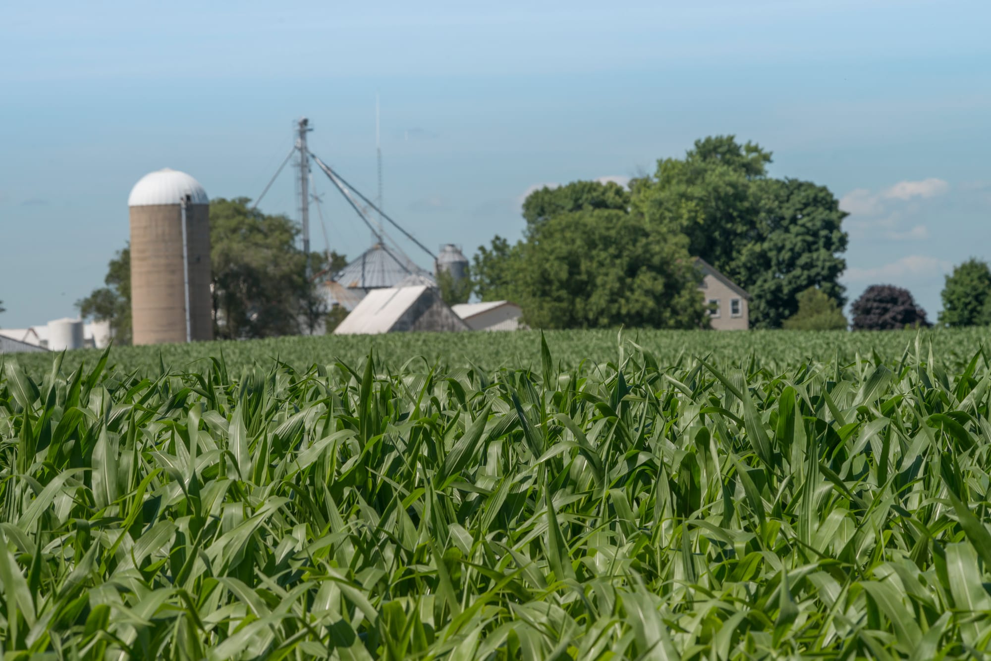 Farmers have paid a combined total of more than $87.2 billion for insurance premiums since 2003. The federal government subsidized more than half of that amount.