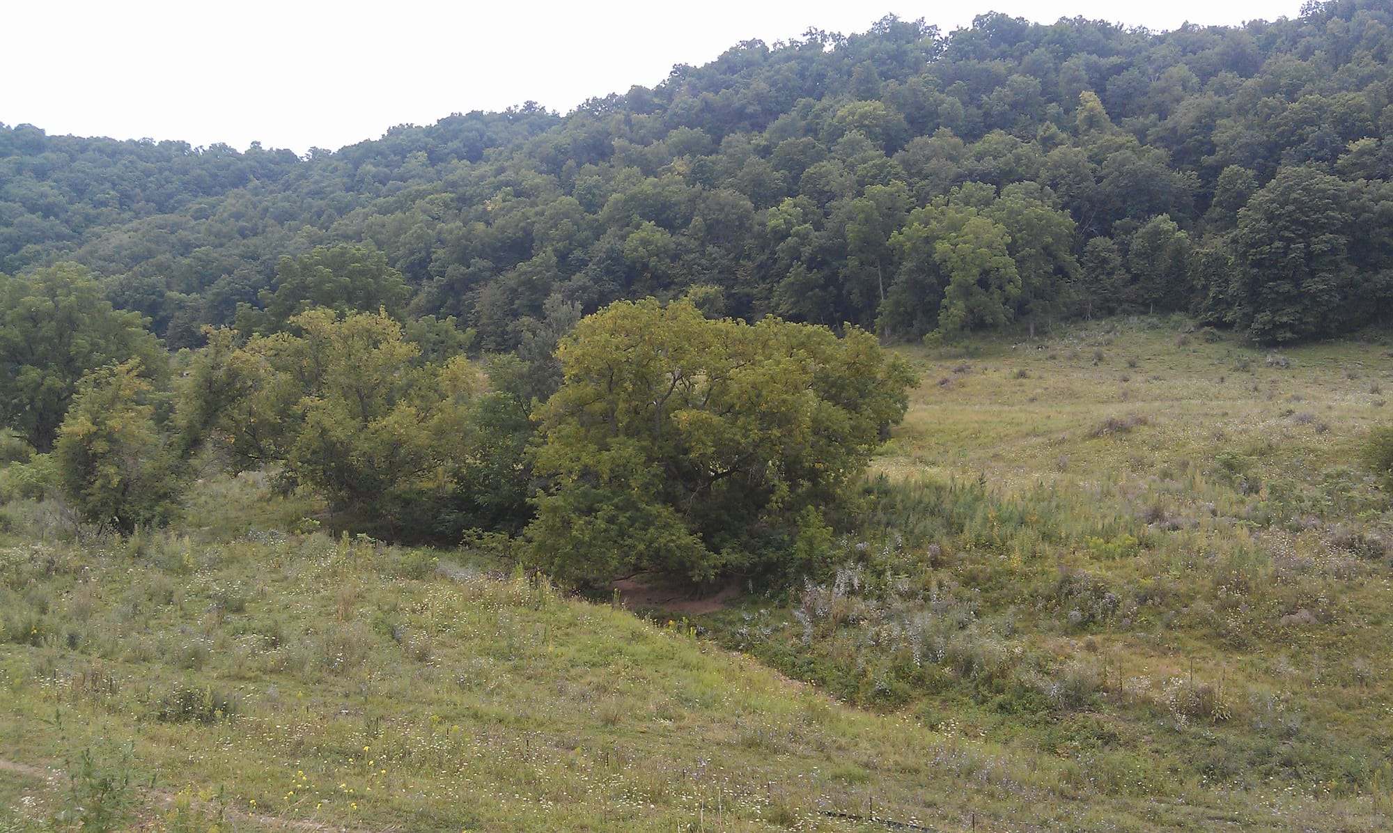 Allamakee County residents who fought to limit the size of frac sanding mines in their northeast Iowa county say they want to preserve ecological features such as the rolling hills and karst topography that mark the region.