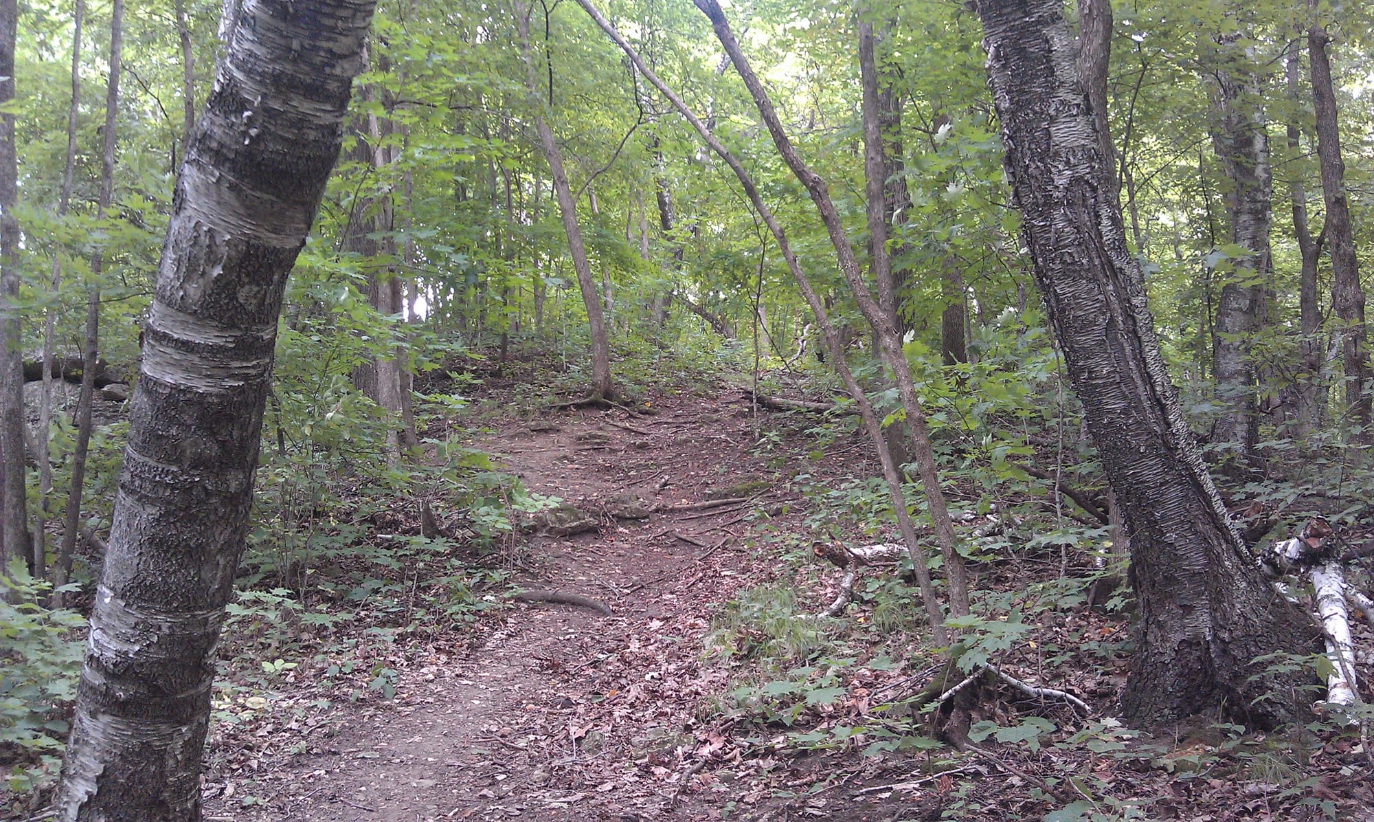 This hiking trail at Mt. Hosmer City Park in Lansing is an example of an outdoors tourist attraction Allamakee County residents say large frac sand mining operations could jeopardize. Taken Aug. 17, 2014. 