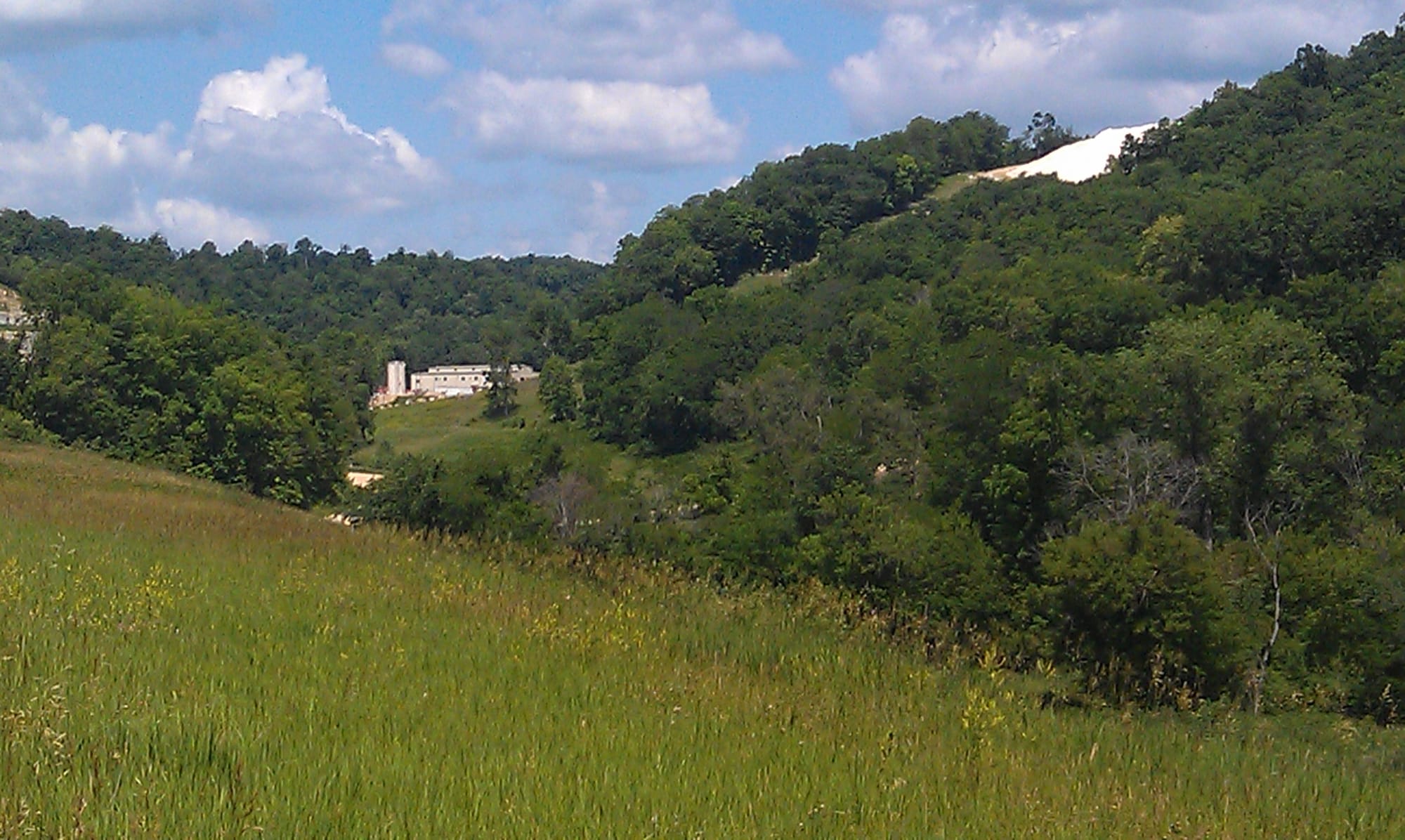 Pattison Sand Company points to this area near its silica sand mine in rural Clayton County, Iowa, as one it has restored ecologically by planting grass and trees. Photo taken in June 2014.