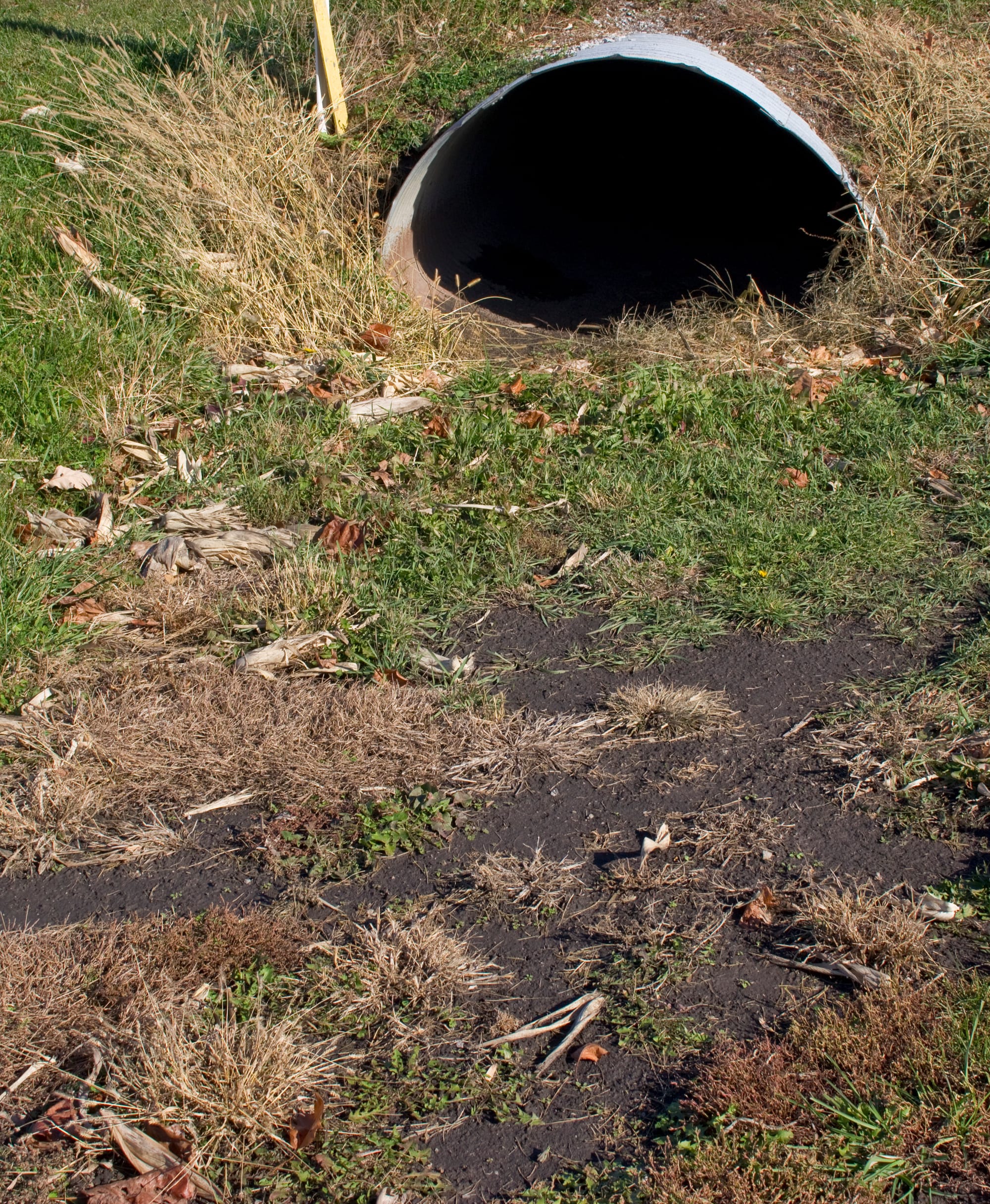 A pipe positioned near a dry ditch on Nov. 5, 2014. Under the proposed Waters of the U.S. rule, wetlands will also see added protection.