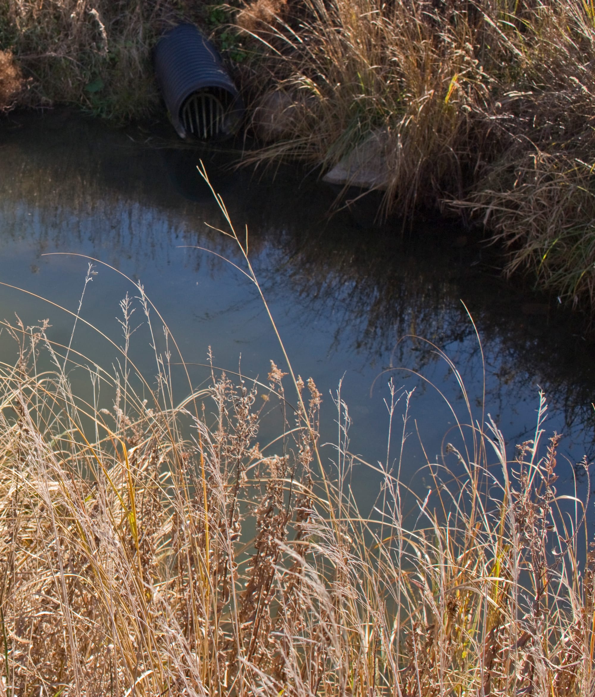 A farm drainage ditch just outside Tolono, Ill., on Nov. 5, 2014. Seasonal and rain-dependent rivers and streams would be protected under the proposed rule.