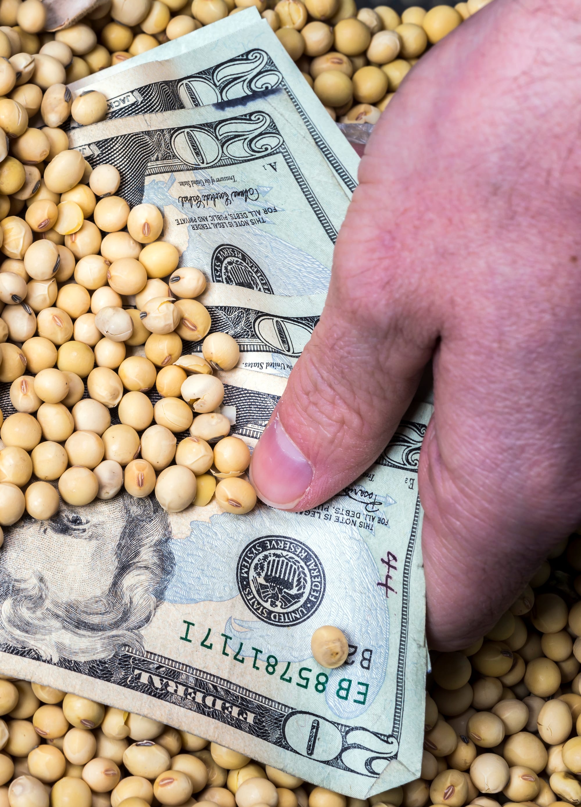 Agribusiness companies receive millions of dollars each year from state agencies and the federal government. The tax breaks, subsidies and grants they receive are in addition to the U.S. Department of Agriculture subsidies for farmers. (Photo illustration taken on March 5, 2015)
