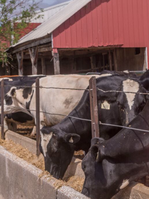 In Champaign County, Ill., agriculture is a major industry. The county's farm bureau is one of the largest ones in the state.