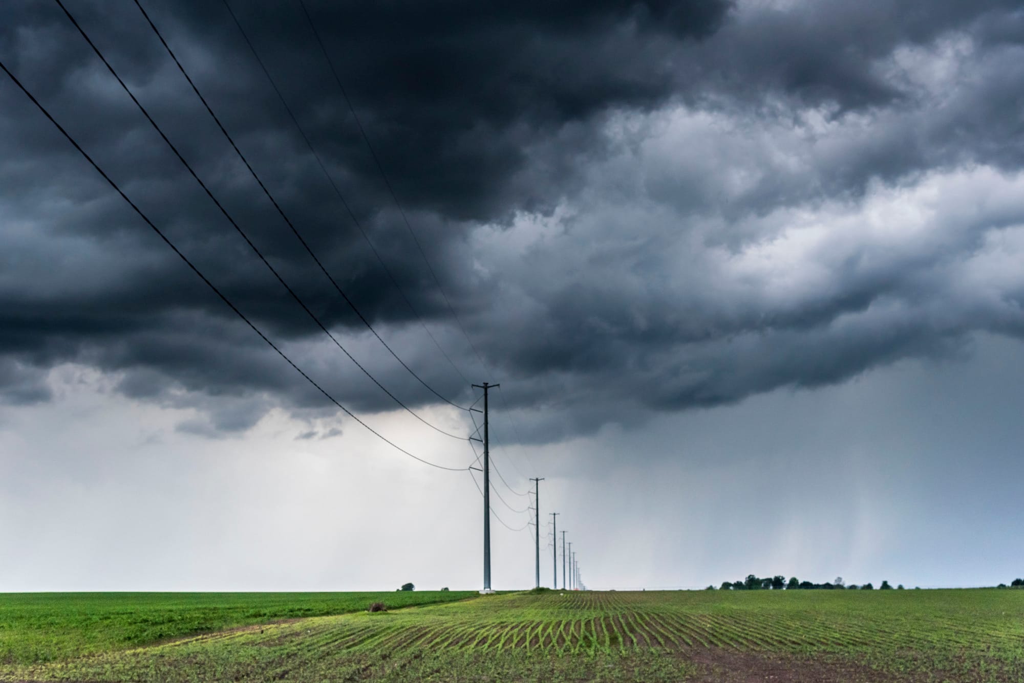 Extreme weather, such as this Midwestern summer storm, is one climate change consequence, according to experts. More weeds, insects and disease are others.